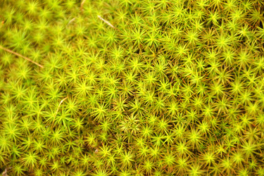 Similar image 11949402