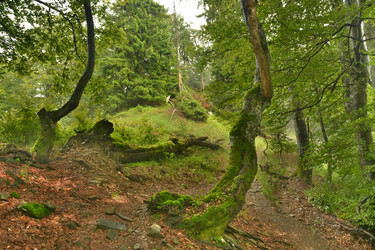 Similar image 11949403