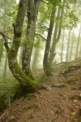 Similar image 11949404