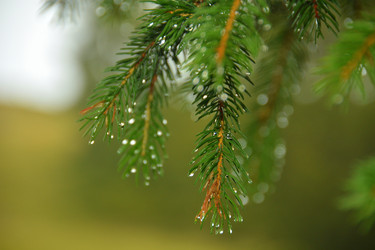 Similar image 11949406