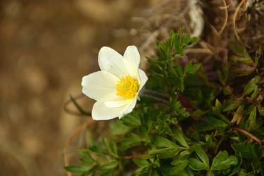 Similar image 11949407