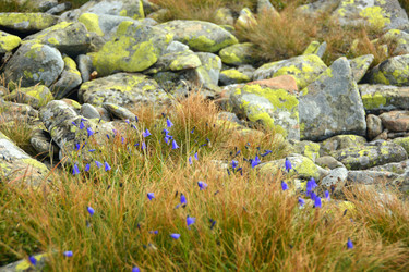 Similar image 11949408