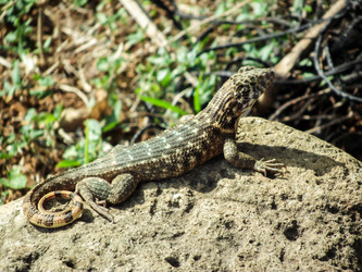 Similar image 11947929