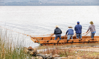 Similar image 11947934