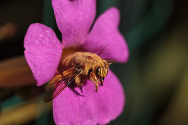 Similar image 11957967