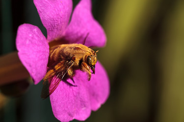 Similar image 11957968