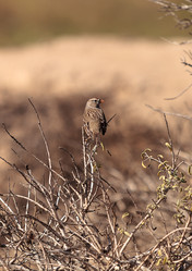 Similar image 11957903