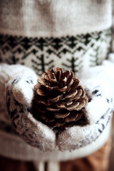 Similar image 11950253