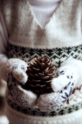 Similar image 11950254