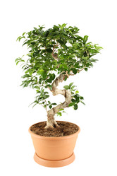 Similar image 11950225