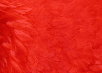 Similar image 11949545