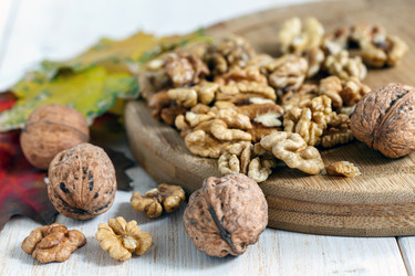 Similar image 11949832