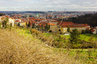 Similar image 11950465