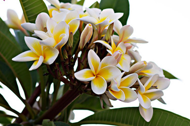 Similar image 11950472