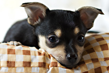 Similar image 11948997