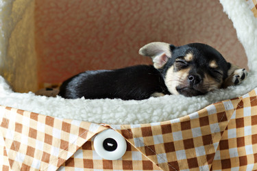 Similar image 11948999