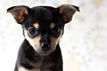 Similar image 11949000