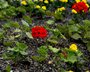 Similar image 11949441