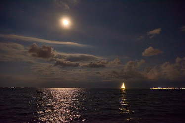 Similar image 11950416