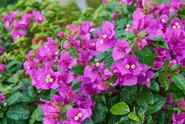 Similar image 11950420