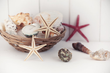 Similar image 11956009