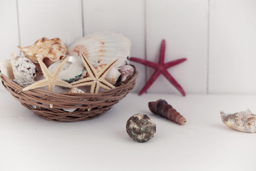 Similar image 11956010