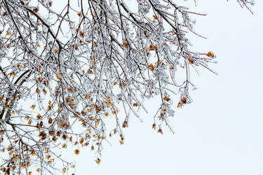 Similar image 11950220