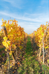 Similar image 11955736