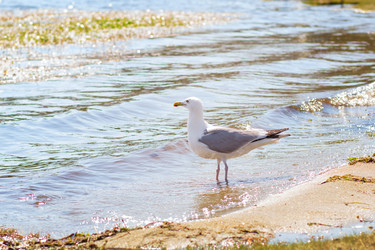 Similar image 11952306