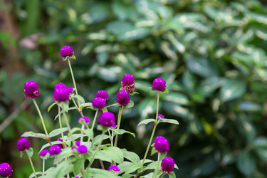 Similar image 11952310