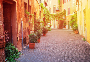 Similar image 11955725