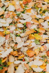 Similar image 11954352