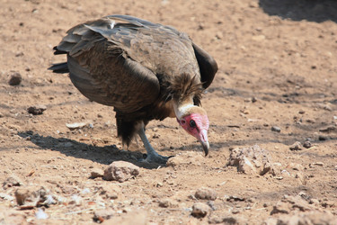 Similar image 11952285