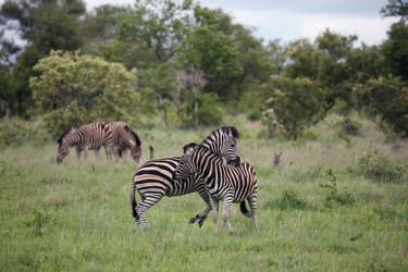 Similar image 11952286