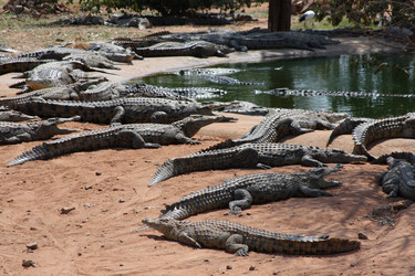 Similar image 11952261