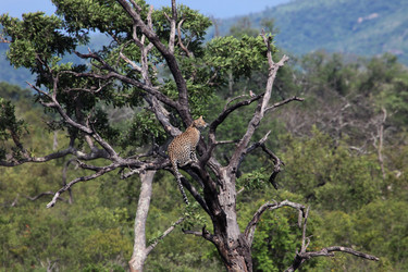 Similar image 11952291