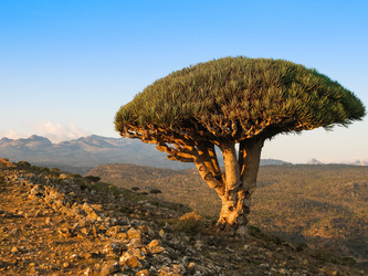 Similar image 11956434