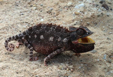 Similar image 11956441