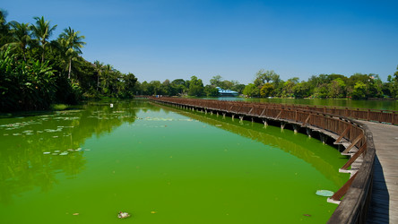 Similar image 11956448