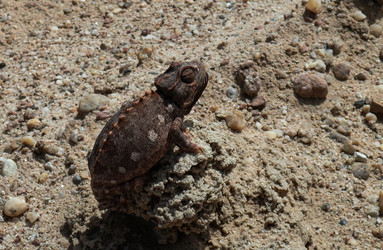 Similar image 11952775