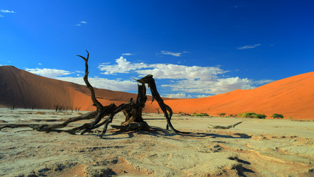 Similar image 11954339