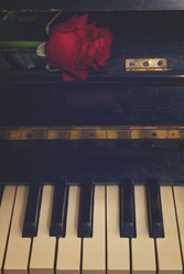 Similar image 11955774