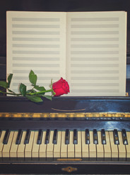 Similar image 11955775