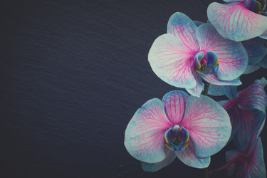 Similar image 11955743