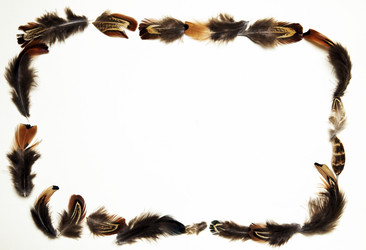 Similar image 11956116