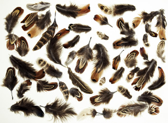 Similar image 11956117