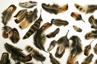 Similar image 11956118