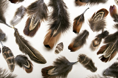 Similar image 11956119