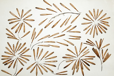 Similar image 11956120