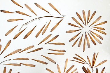 Similar image 11956121